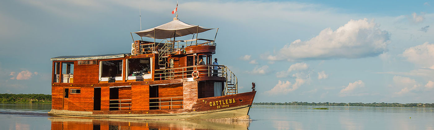 catlleya riverboat peru catlleya riverboat peru