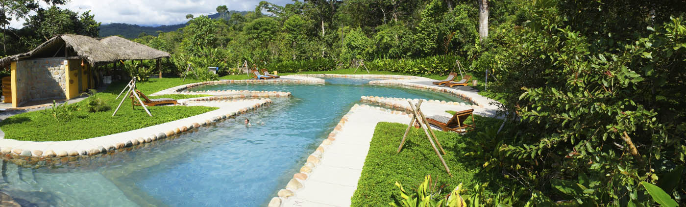 Swimming Pool Aerial - Hakuna Matata
