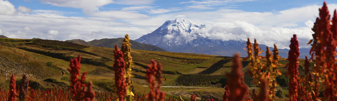 Chimborazo | Riobamba Chimborazo | Riobamba