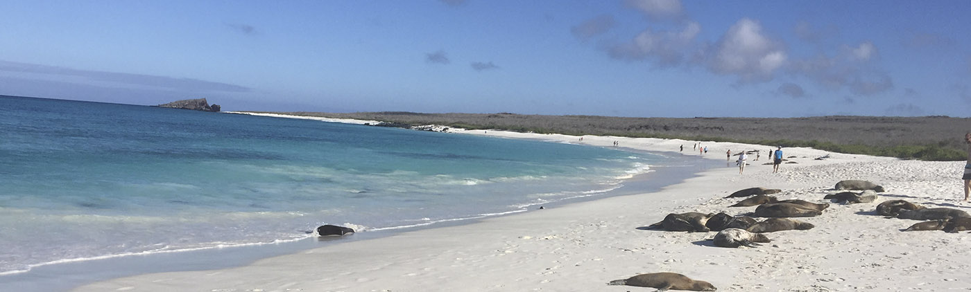 galapagos-island-hopping galapagos-island-hopping