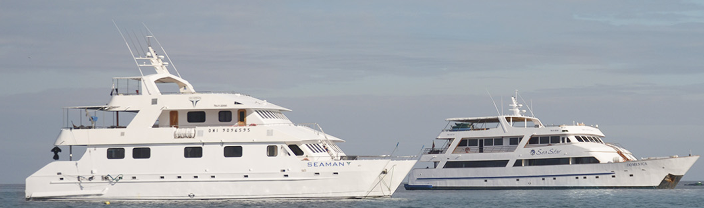 Seamany | Sea Star Seamany | Sea Star