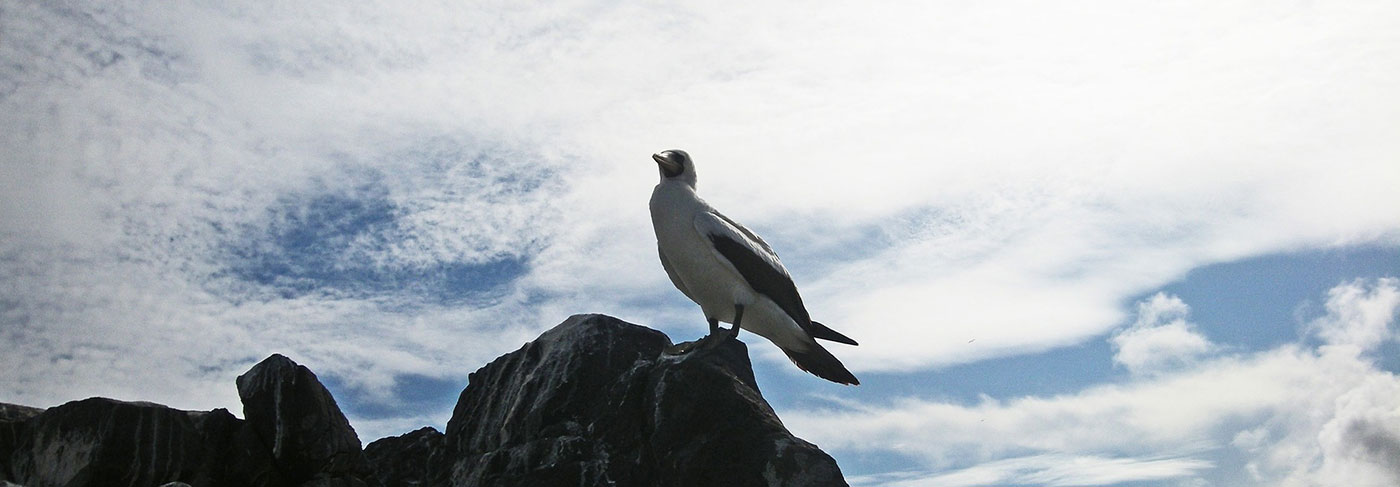 Galapagos Fall | Galapagos cruises Galapagos Fall | Galapagos cruises