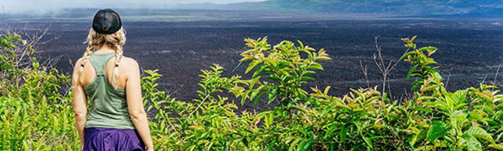 The green lush surrounding | Galapagos cruises