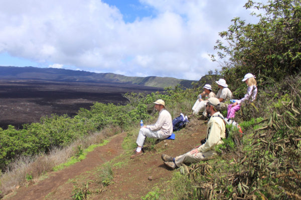 Self-guided tours