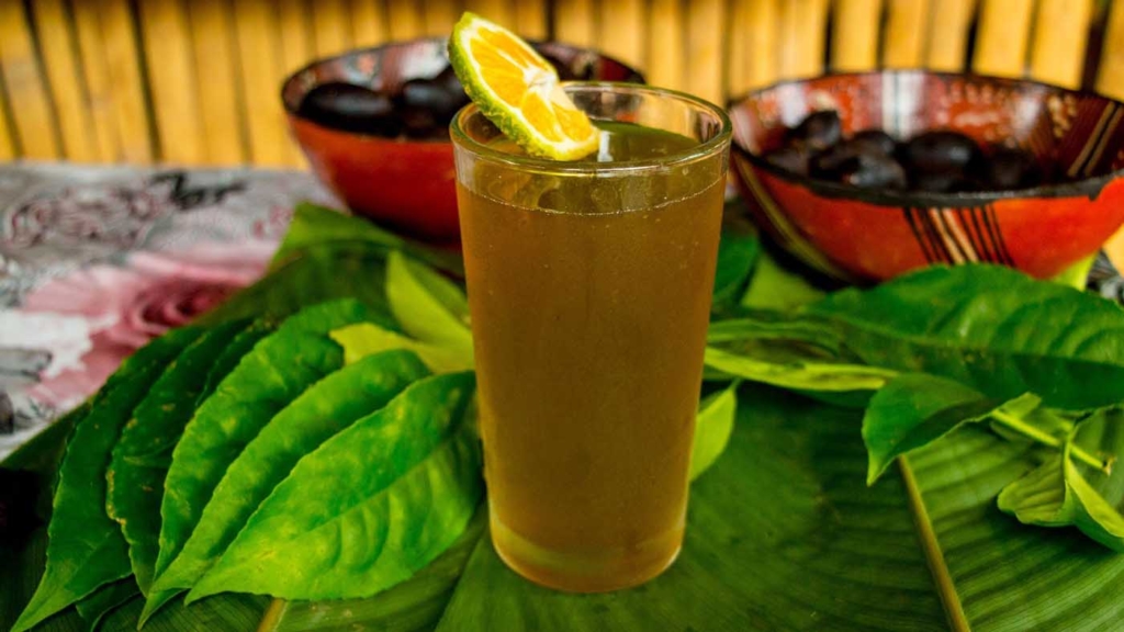 Guayusa