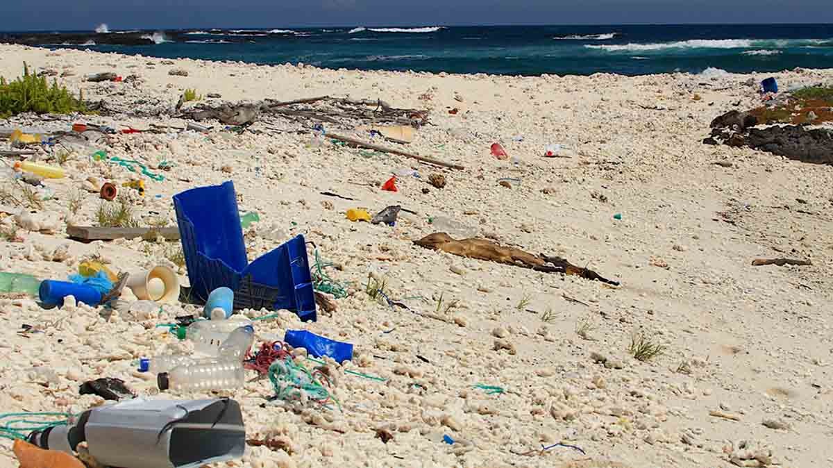Plastic on Galapagos Beaches Plastic on Galapagos Beaches