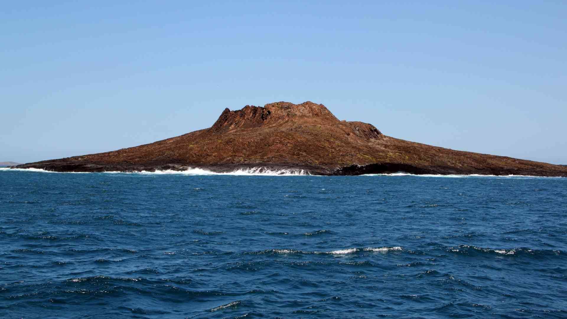 Chinese Hat | Galapagos