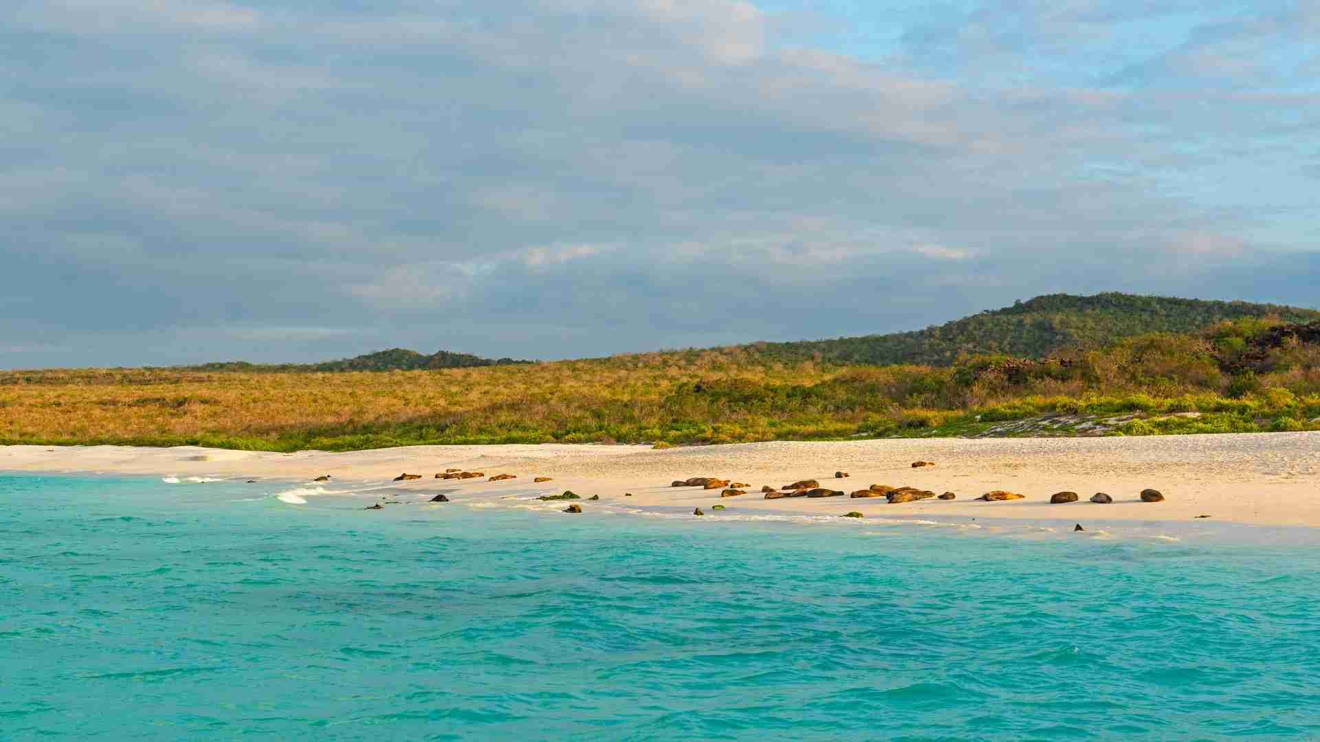Gardner Bay