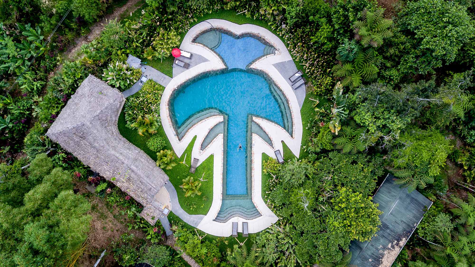 Swimming Pool Aerial - Hakuna Matata