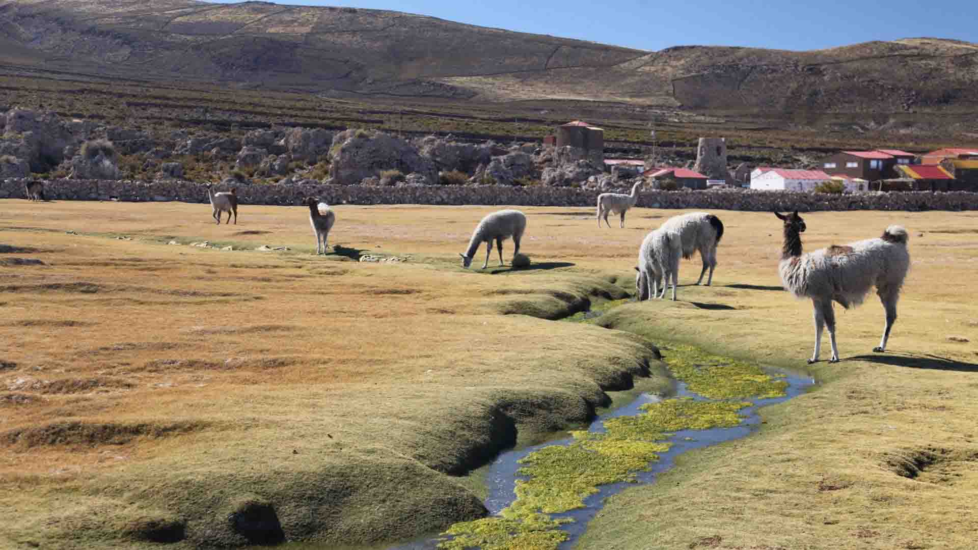 Colchani | Bolivia