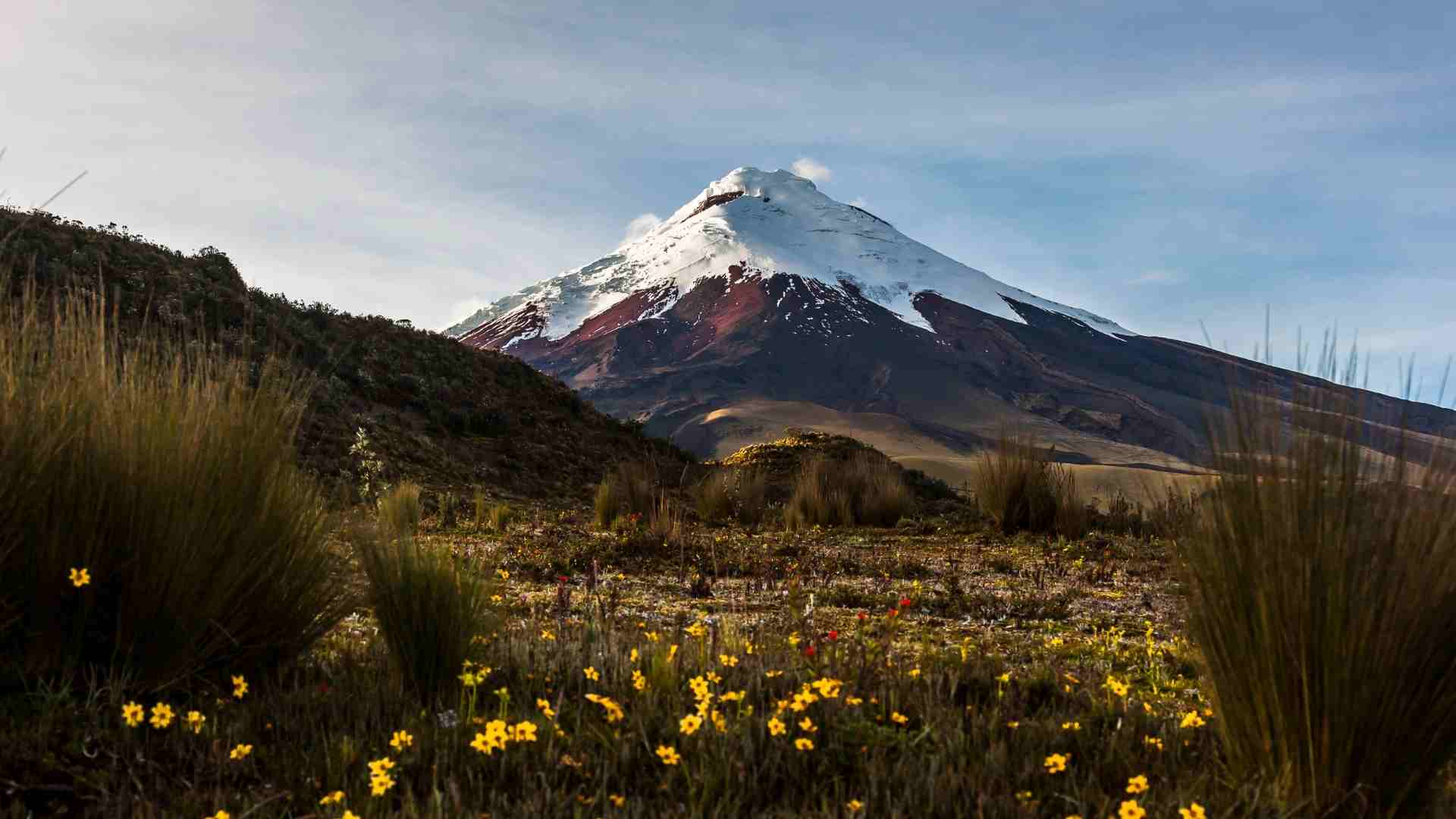 Cotopaxi