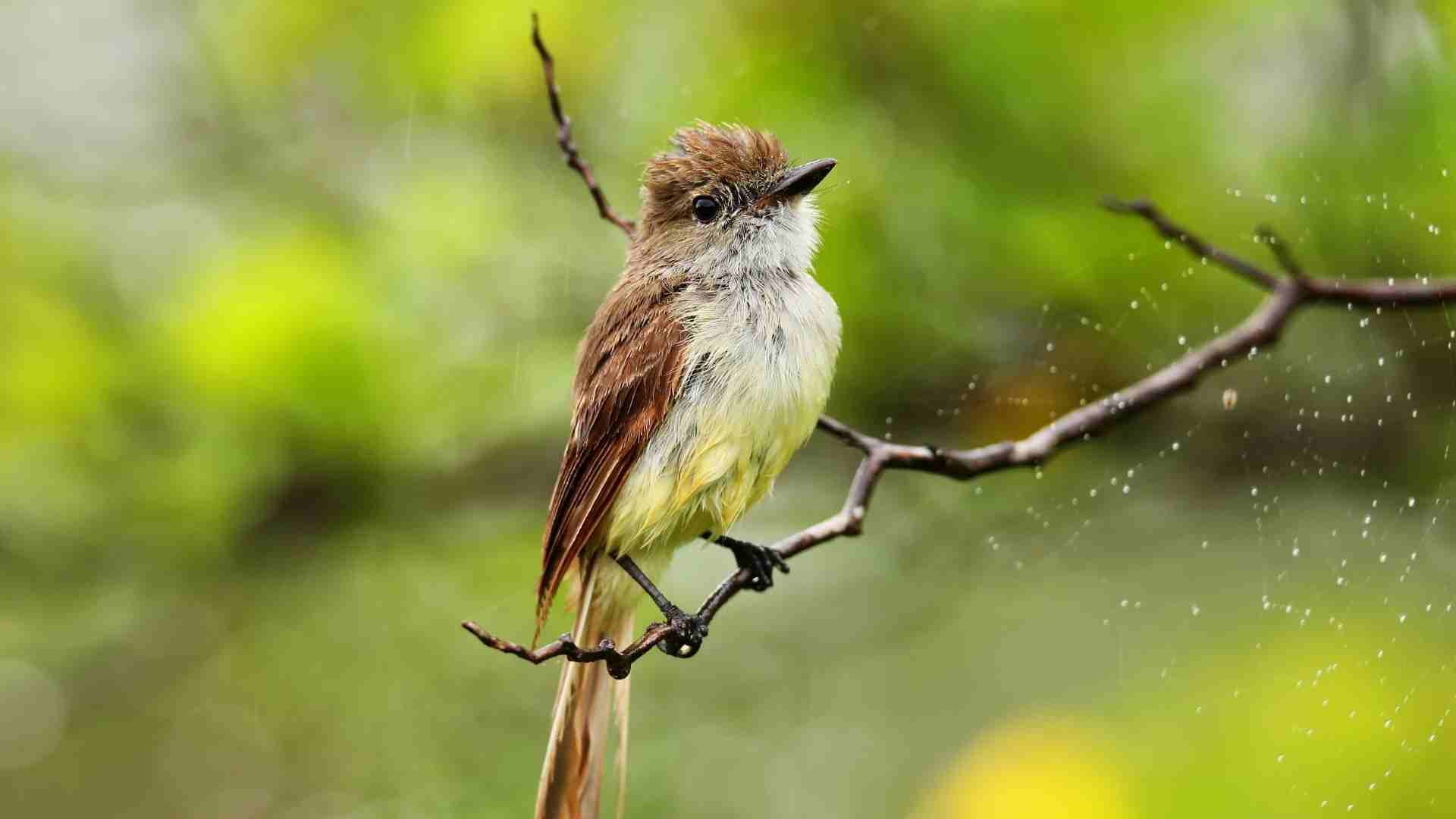 Experience Ecuador Tour