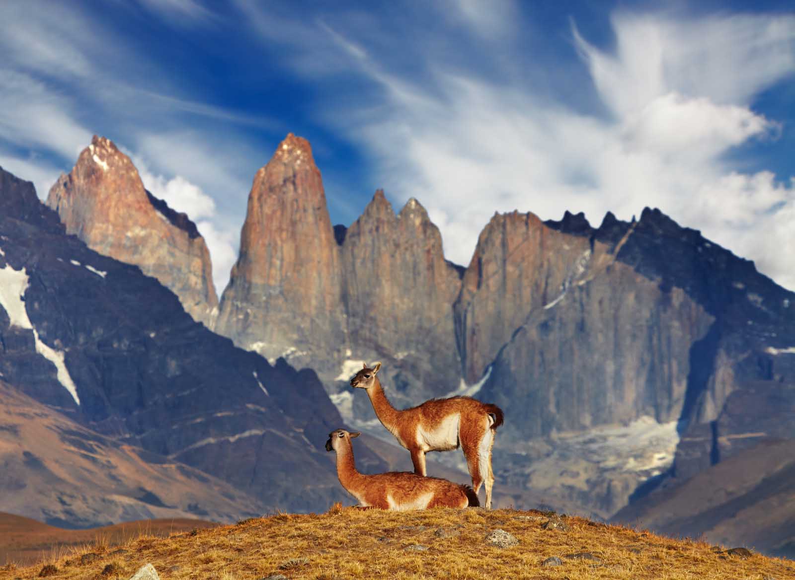 Torres del Paine National Park | Chile