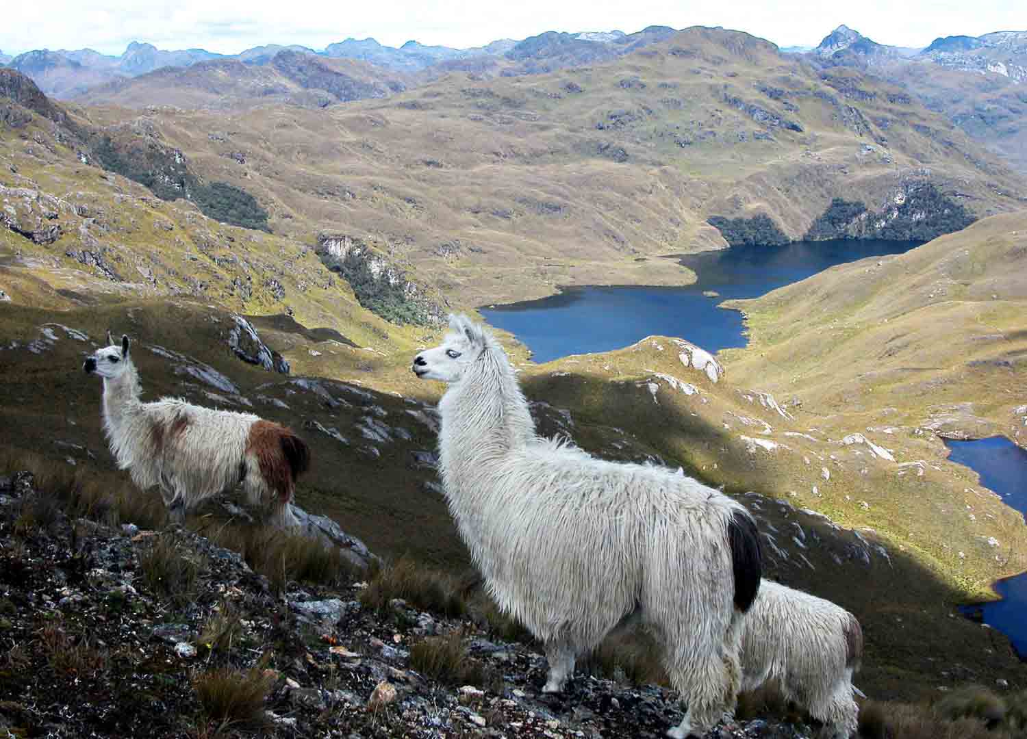 Cajas National Park