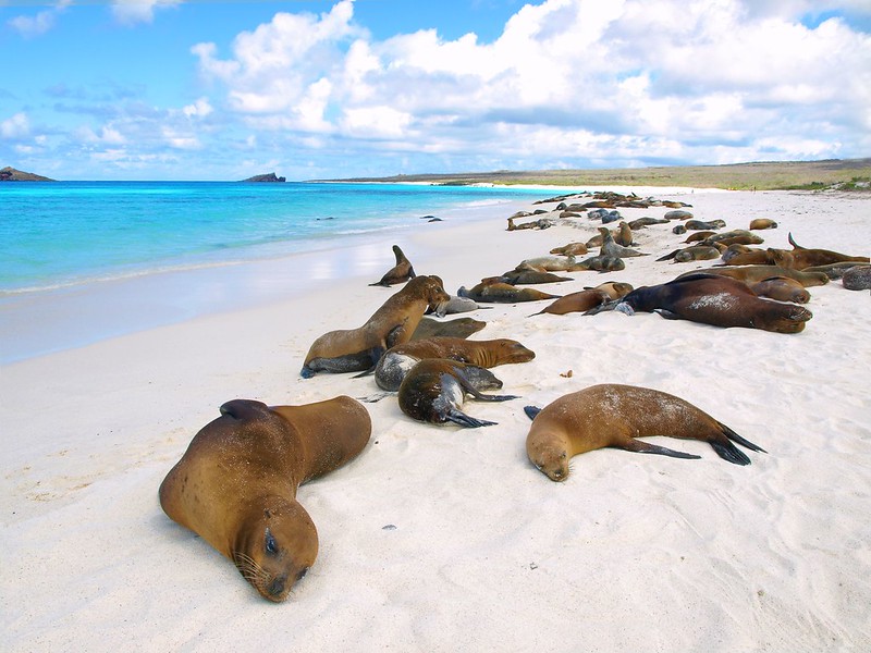 Española island | Galapagos Islands Española island | Galapagos Islands