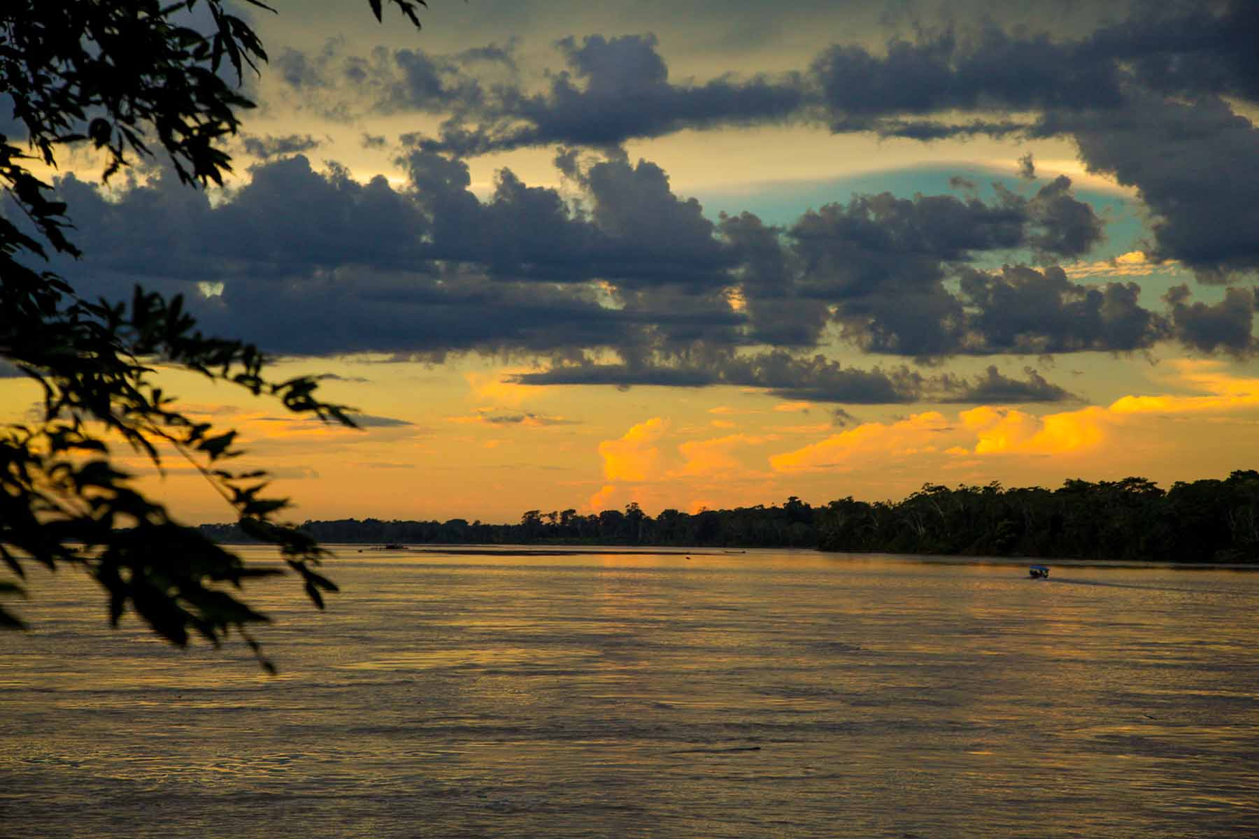 AMAZONÍA ORELLANA PAISAJES