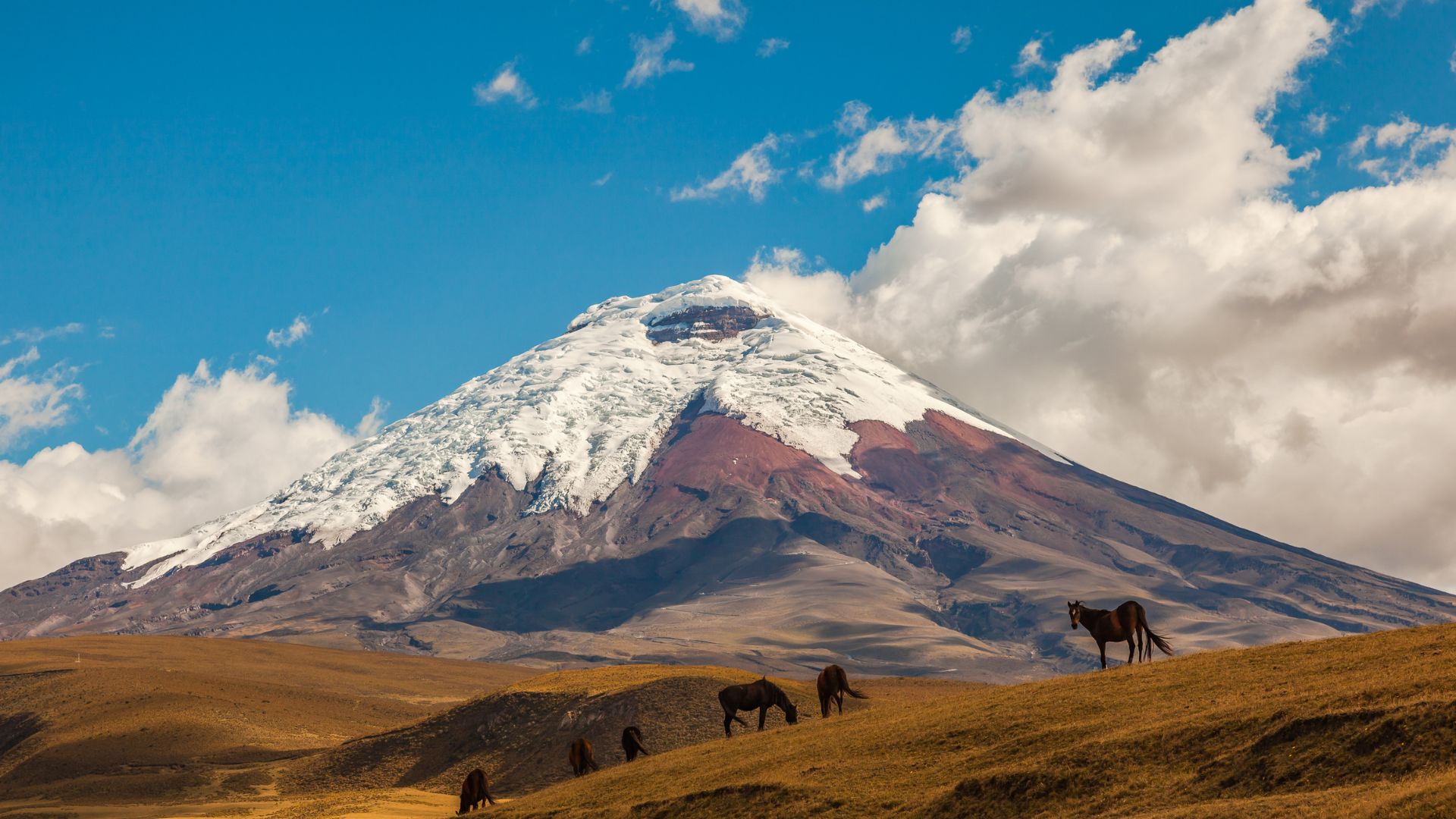 Cotopaxi National Park