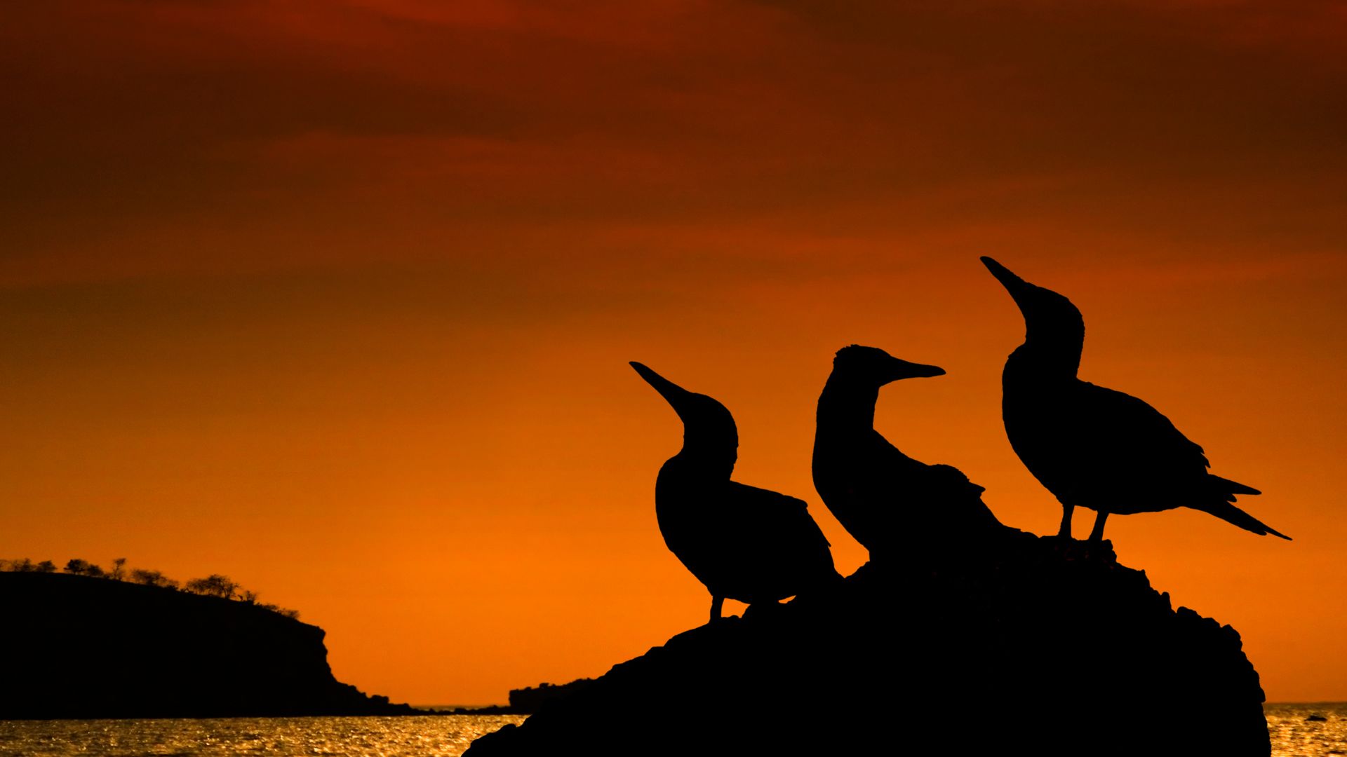 Galapagos sunset