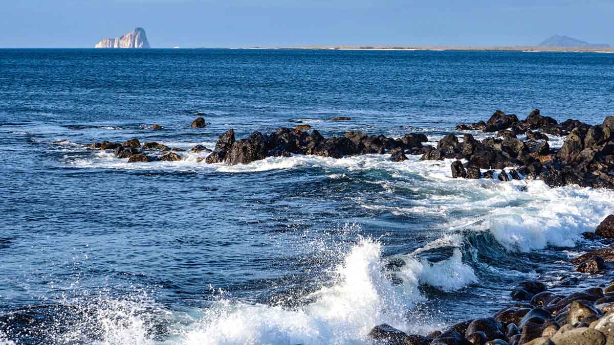 Isla Lobos | Galapagos Islands