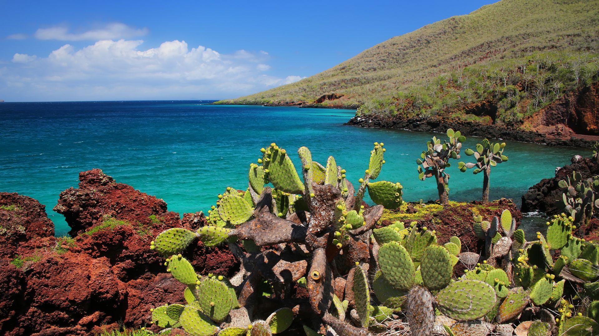 Isla Rábida