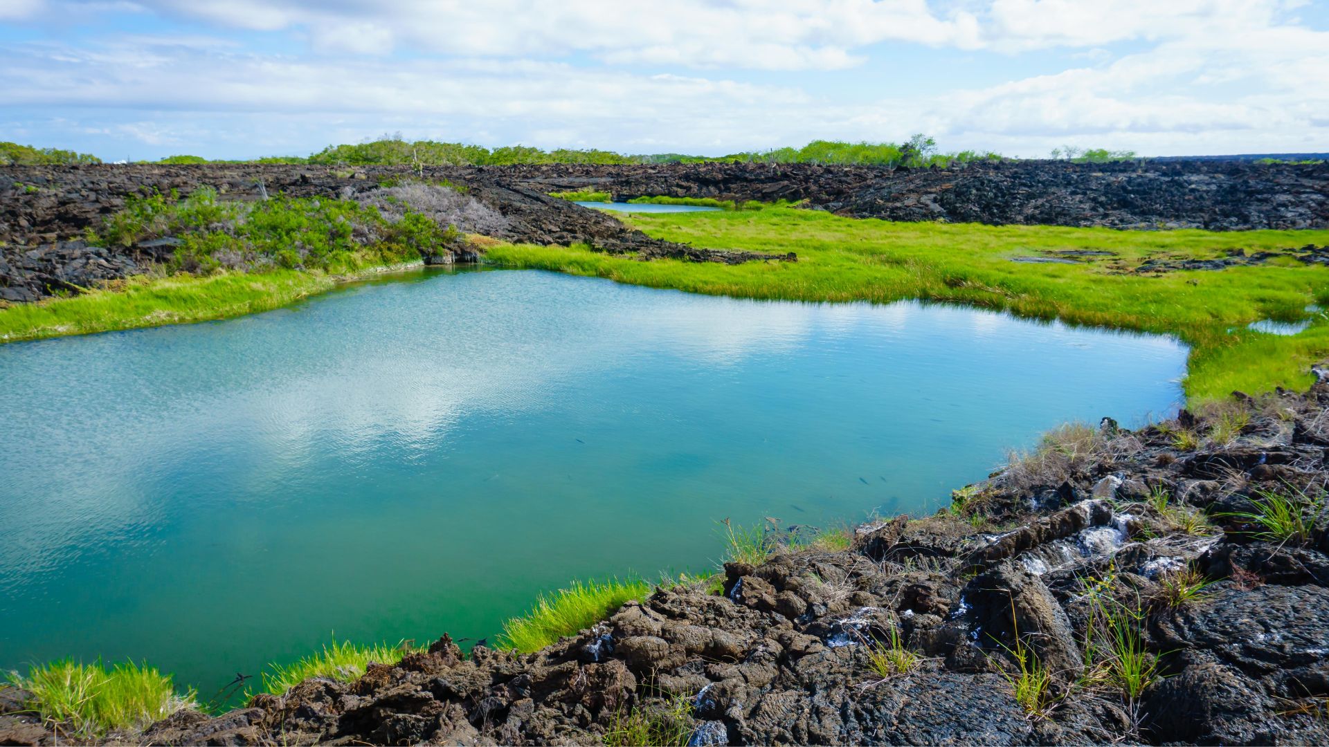 Punta Moreno | Galapagos Islands