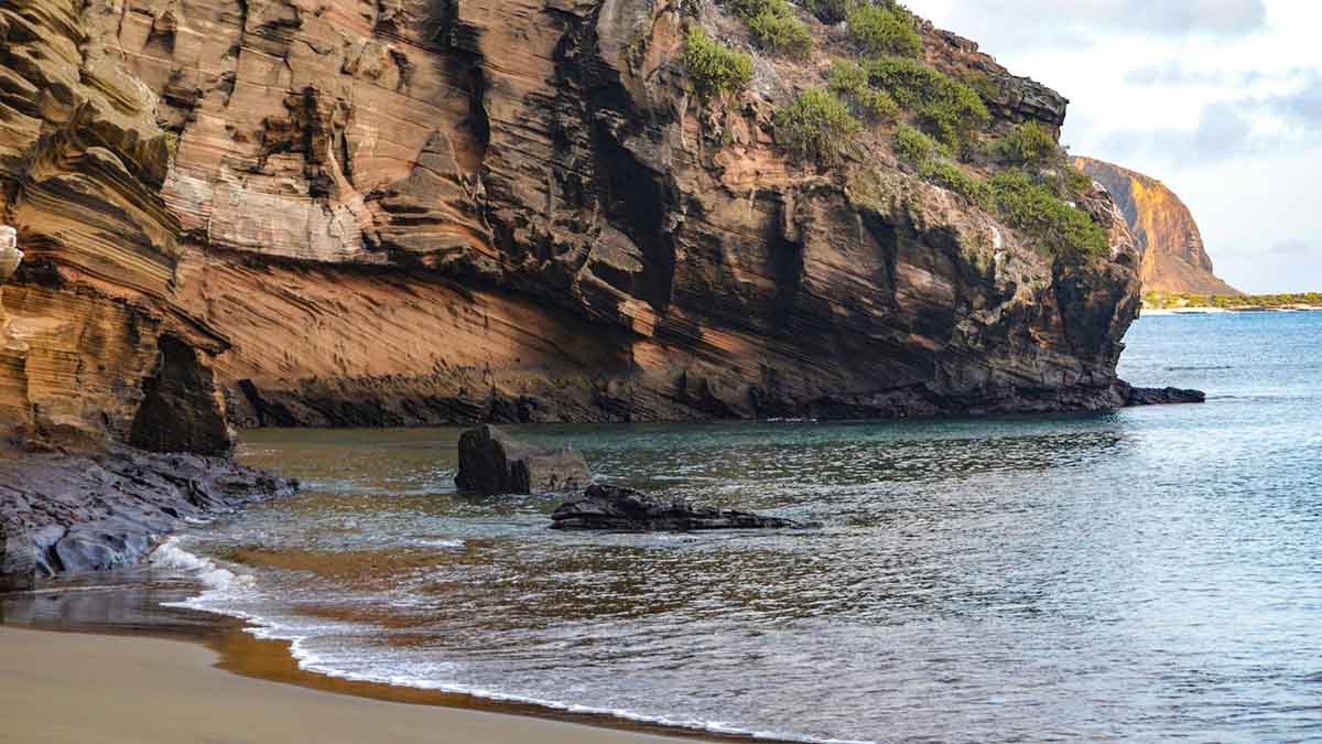 Punta Pitt | Galapagos Islands