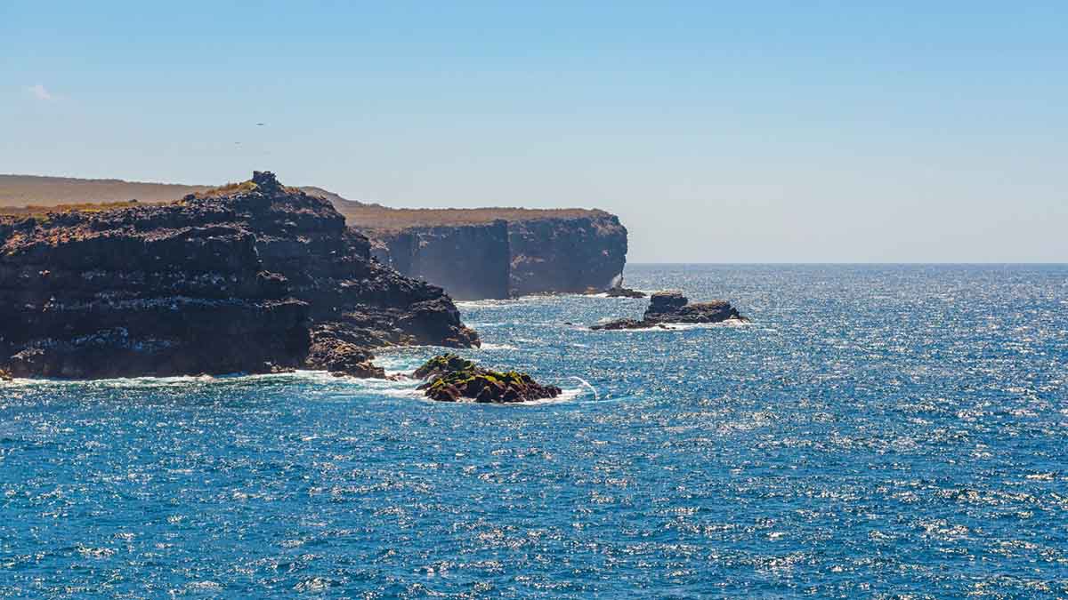 Punta Suárez | Galapagos Islands