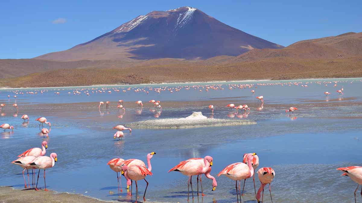 Salar Uyuni