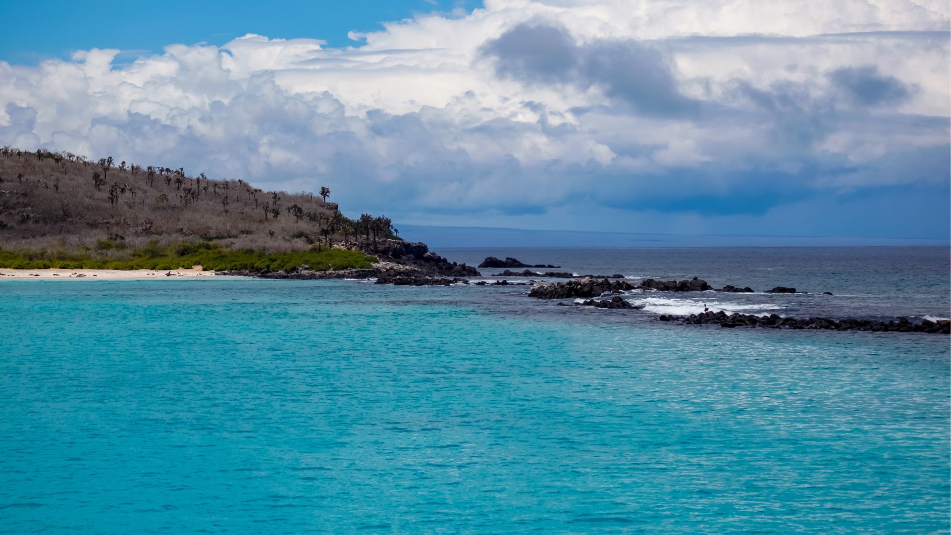 Santa Fe Island