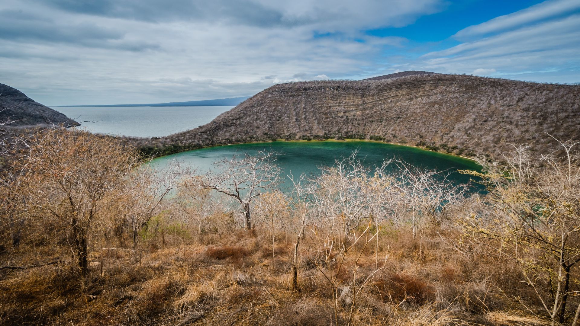 Tagus Cove