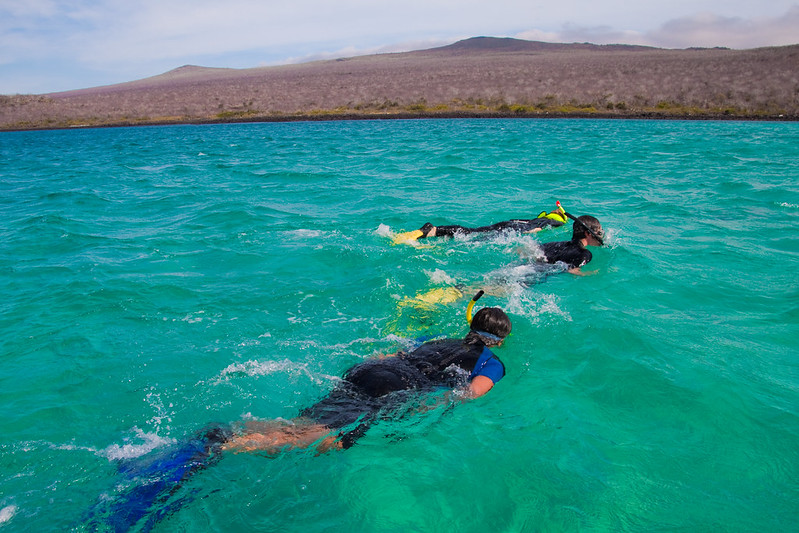snorkel