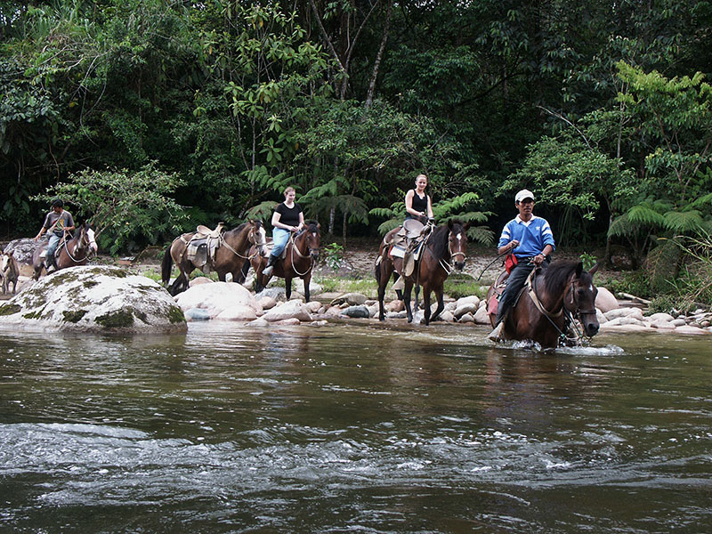 Horseback | Hakuna Matata Amazon Lodge