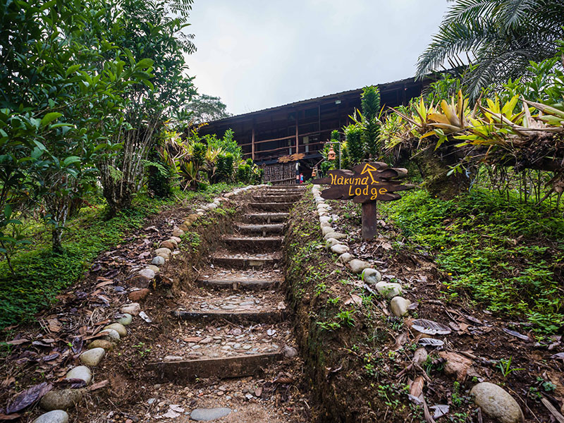 Hakuna Lodge 