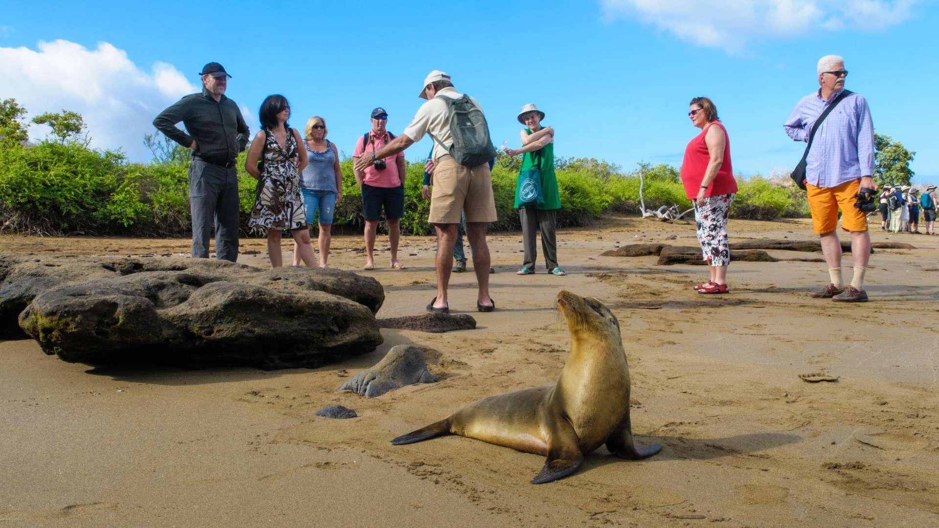 Galapagos Newsletter