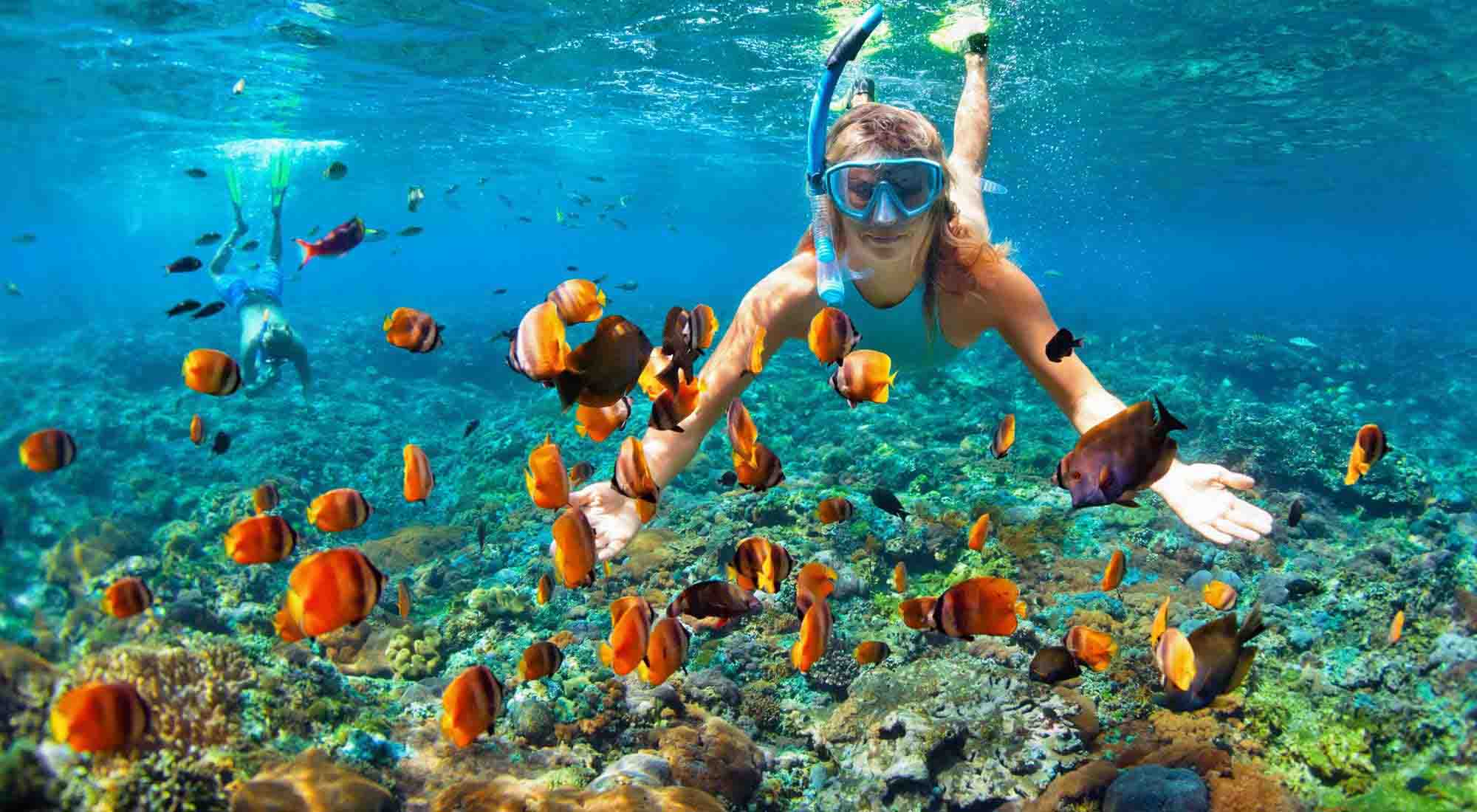 Snorkel in Costa Rica