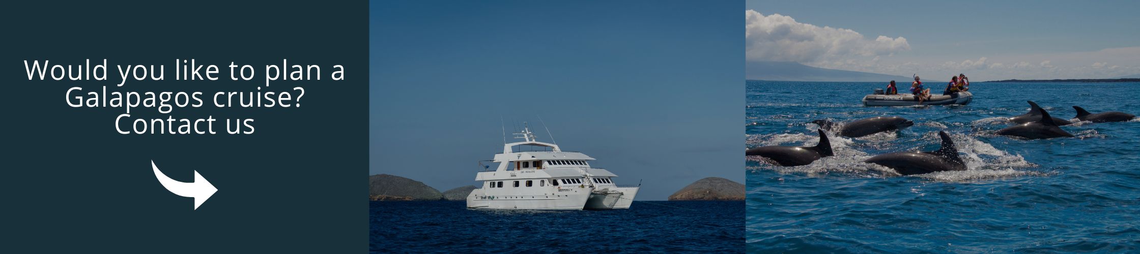 Contacte con nosotros para planificar un viaje en crucero | Latin Trails