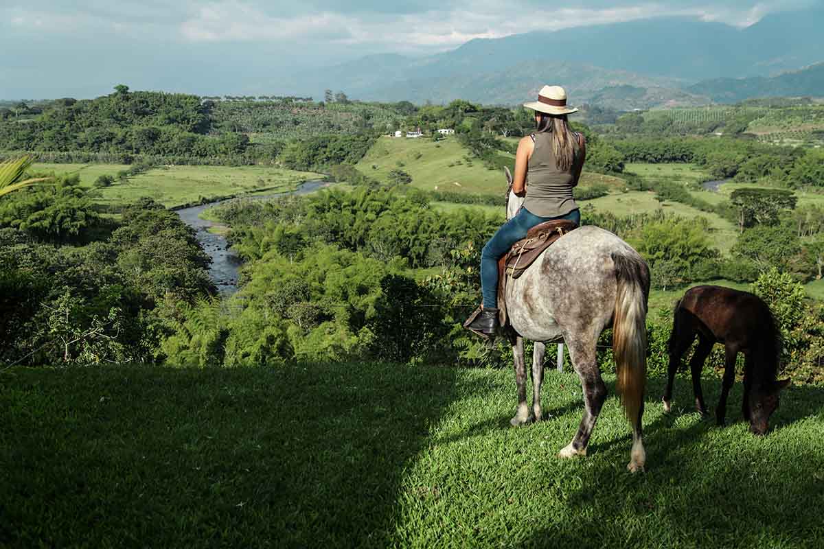 Horseback Riding | The Coffe Region | colombia