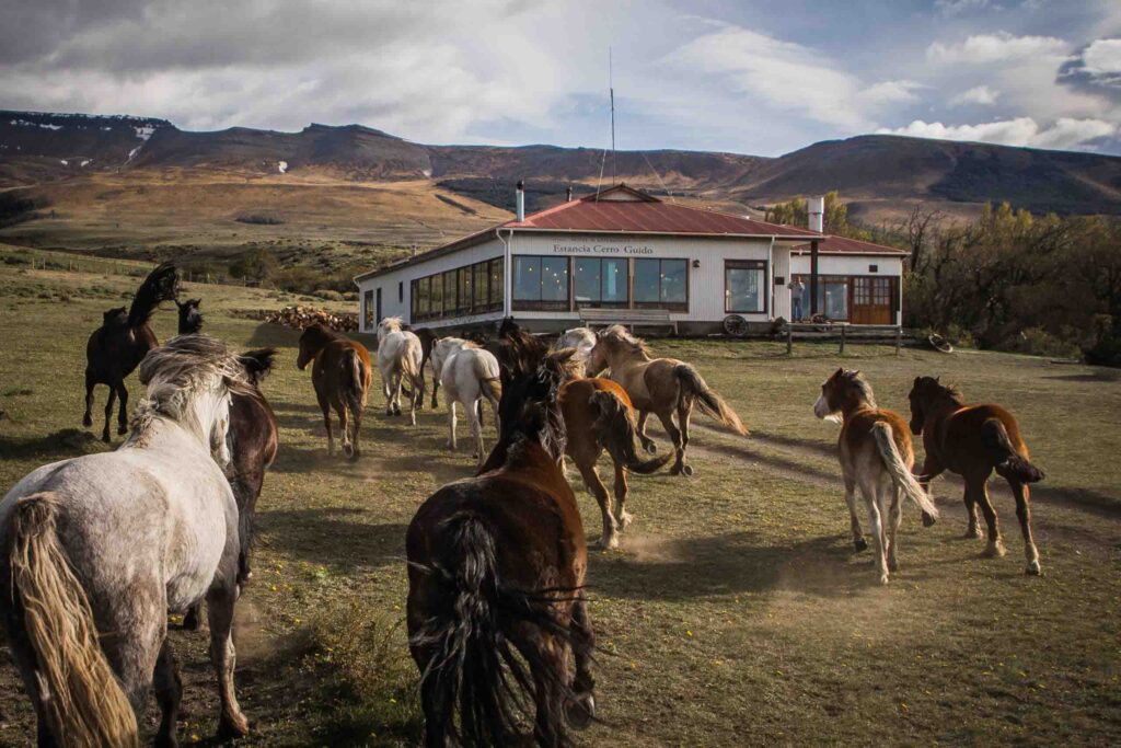 Estancia Cerro Guido