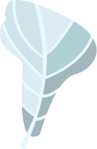 Logo Latin Trails