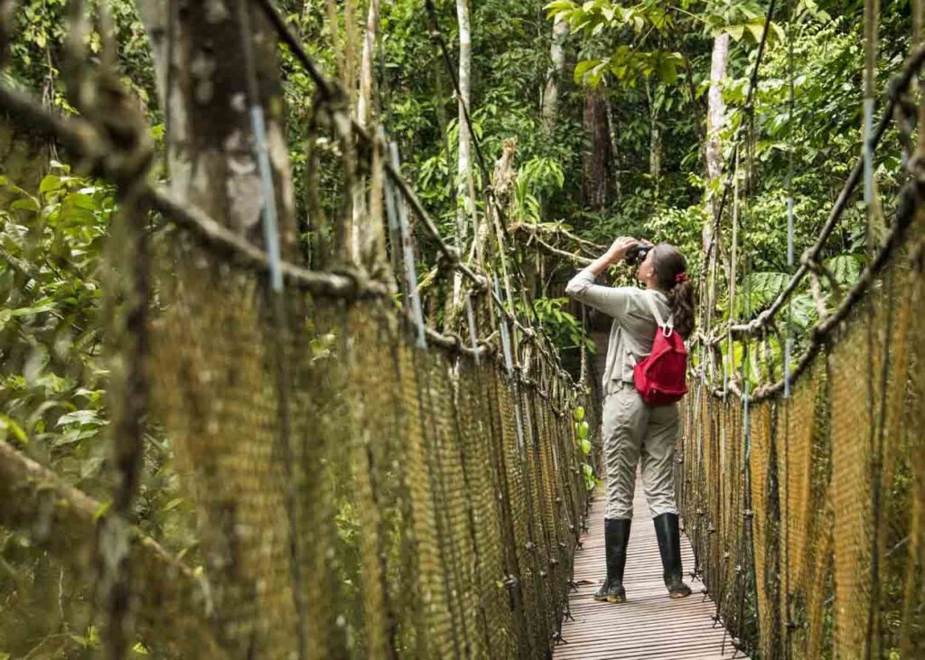 Hike | Amazon Experience Hike | Amazon Experience