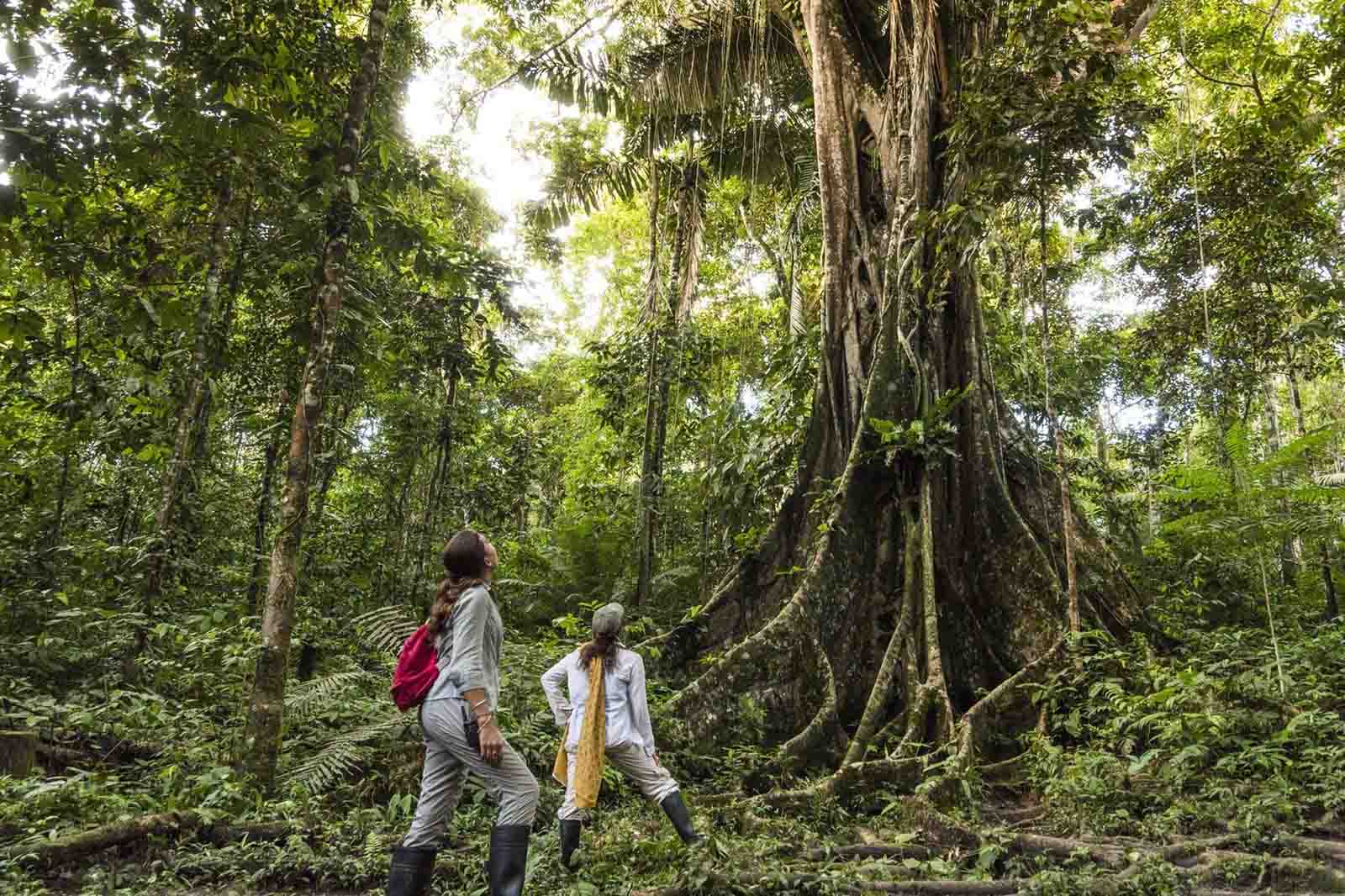 Hiking | Amazon Experience