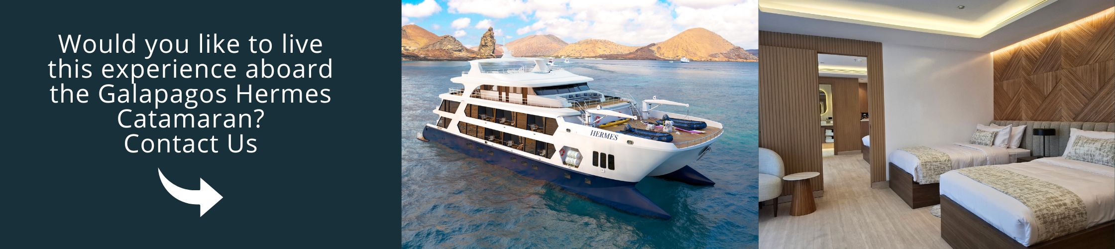 Visit Galapagos on board the Hermes Catamaran
