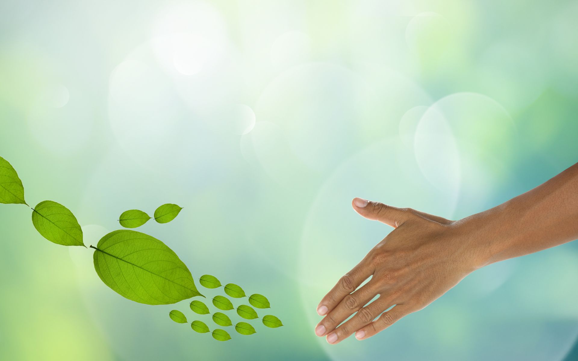 Eco friendly - Canva - your_photo