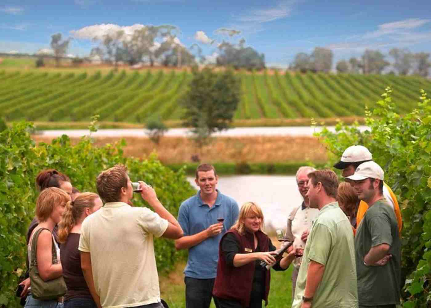 Visit to Vineyards | Chile