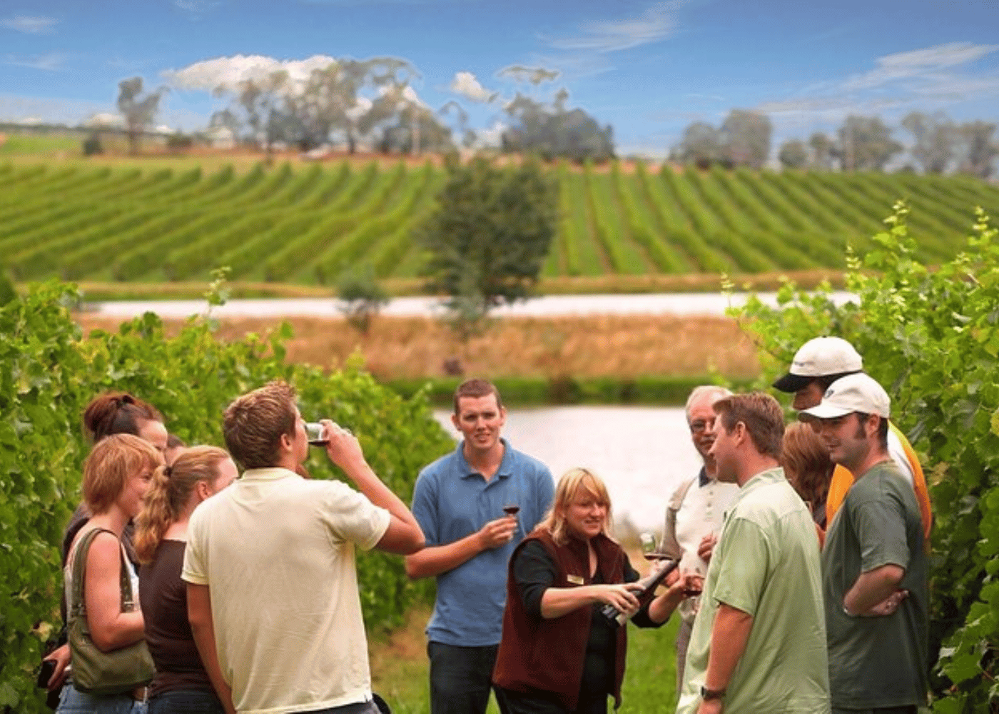 Visit to Vineyards | Chile