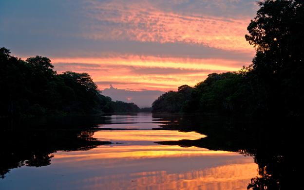 Amazon River