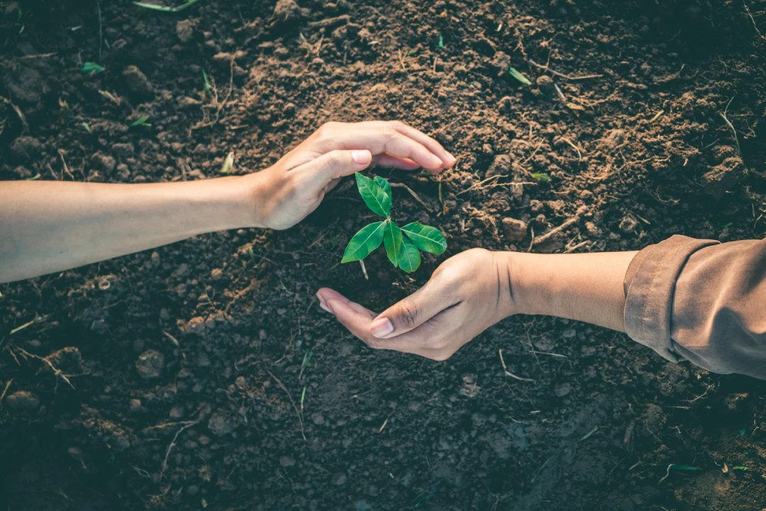 Hand for Planting Trees