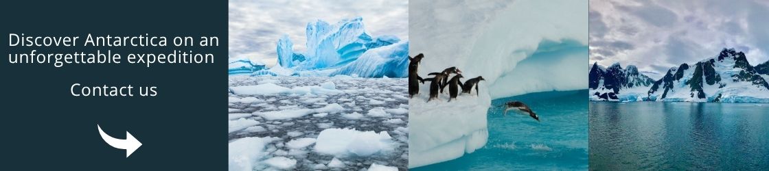 Banner Visita Antarctica - Contáctenos 