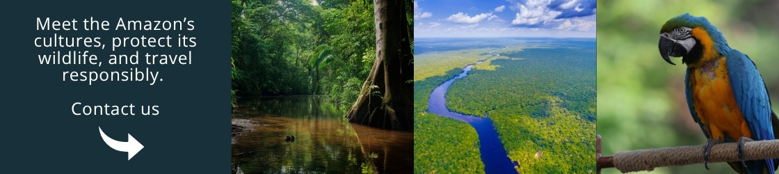 Descubre la Amazonia con nosotros