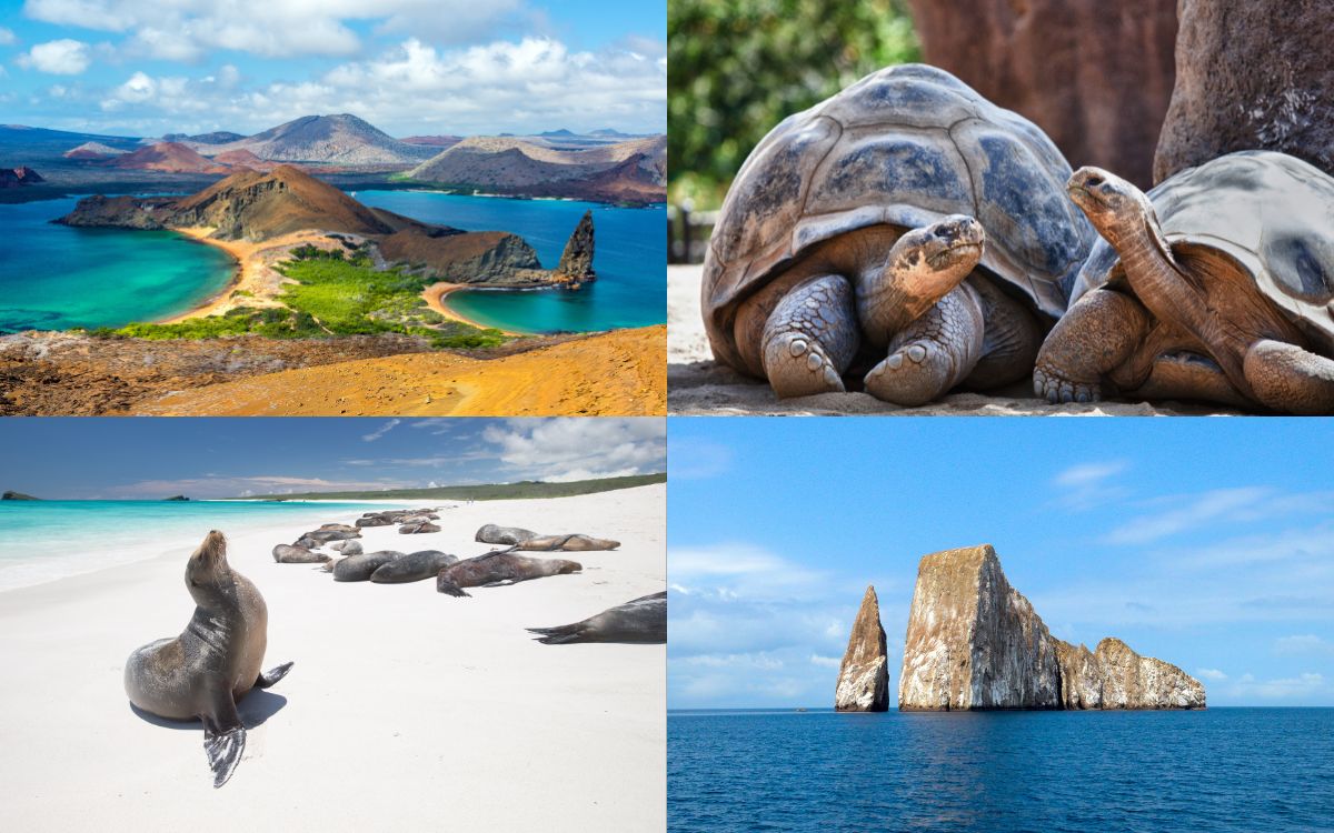 Ultimate Guide for Travel Agents to Galapagos